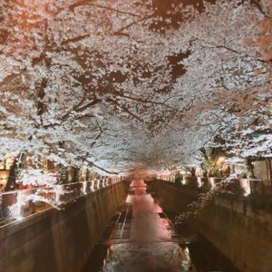 さこ