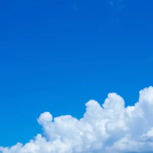 髙田